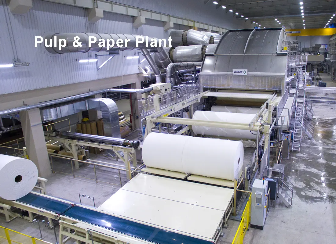 Pulp and Paper Plant