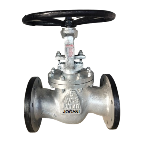 CAST GLOBE VALVE 1
