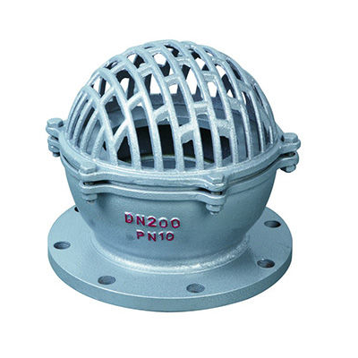 FOOT VALVE