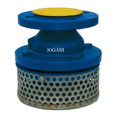 Cast Steel Foot Valve