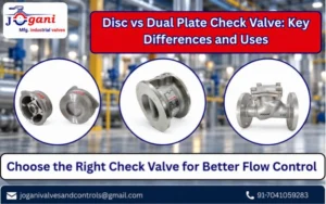 Disc vs Dual Plate Check Valve_ Key Differences and Uses